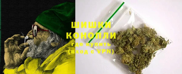 стаф Белокуриха