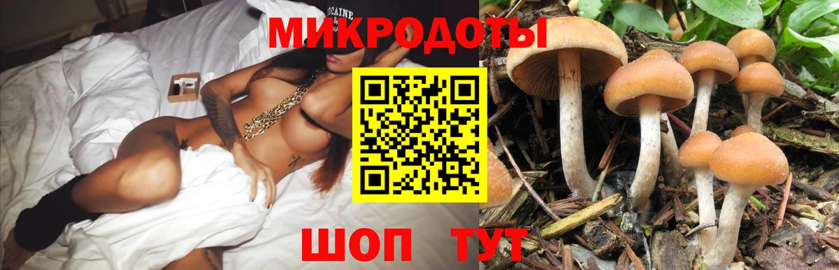 Псилоцибиновые грибы MAGIC MUSHROOMS  Псилоцибиновые грибы мицелий  Бор  Вход с VPN 