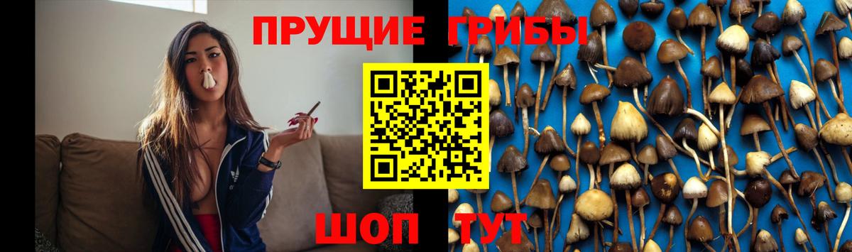 ГАШ Бор